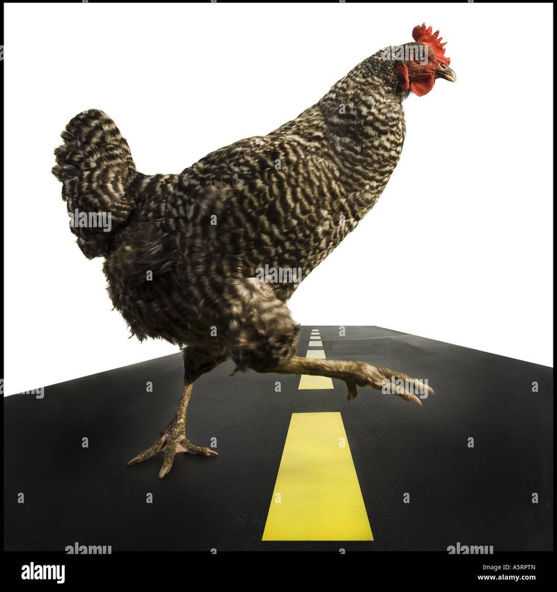 Netherlands - chicken road nederland
